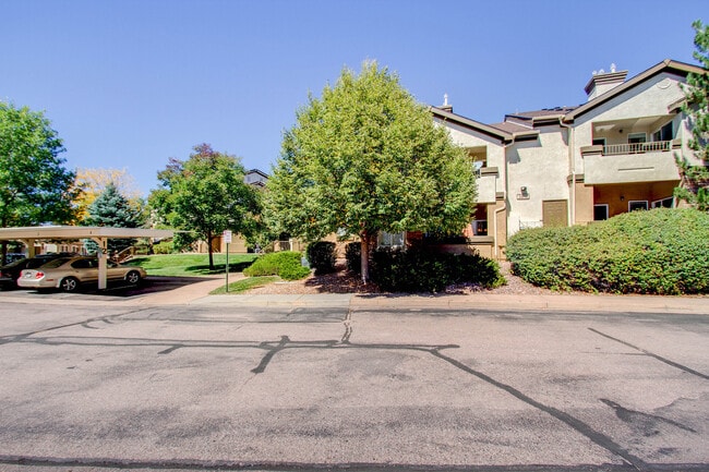 3815 Riviera Grove in Colorado Springs, CO - Building Photo - Building Photo