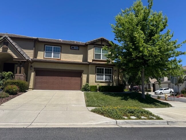 property at 9137 Arbol del Rosal Way
