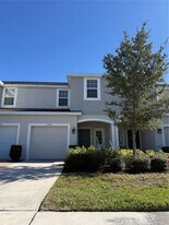 2326 Alee Ln in Wesley Chapel, FL - Building Photo