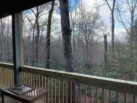 101 Dundee Ln, Unit D in Pisgah Forest, NC - Building Photo