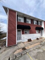 3907 Joe Bald Rd in Kimberling City, MO - Building Photo