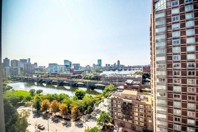 12-12 Museum Way in Cambridge, MA - Building Photo - Building Photo