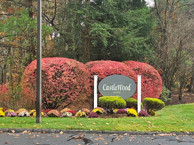 208 Castlewood Dr in Bloomfield, CT - Building Photo - Building Photo