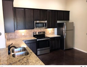 245 Joanne Lp in Buda, TX - Building Photo - Building Photo