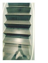 3809 Quail Wood Dr in McKinney, TX - Building Photo - Building Photo