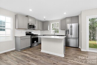 10032 Greystar Ln in Charlotte, NC - Building Photo - Building Photo