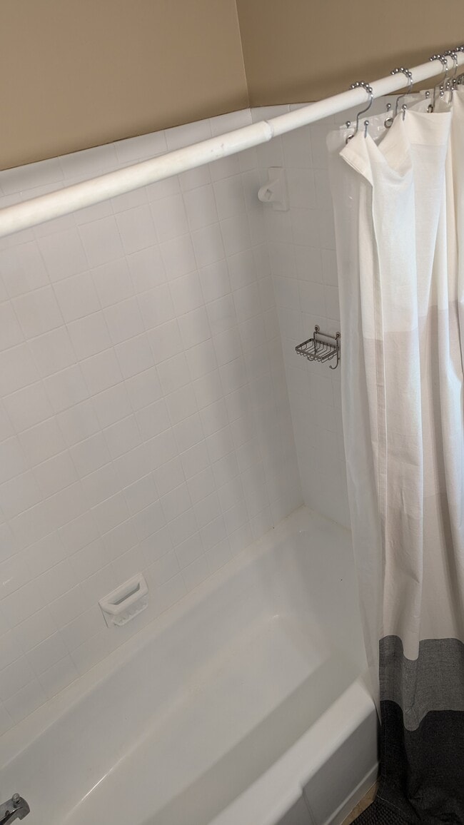 732 Fairview Rd in Asheville, NC - Building Photo - Building Photo