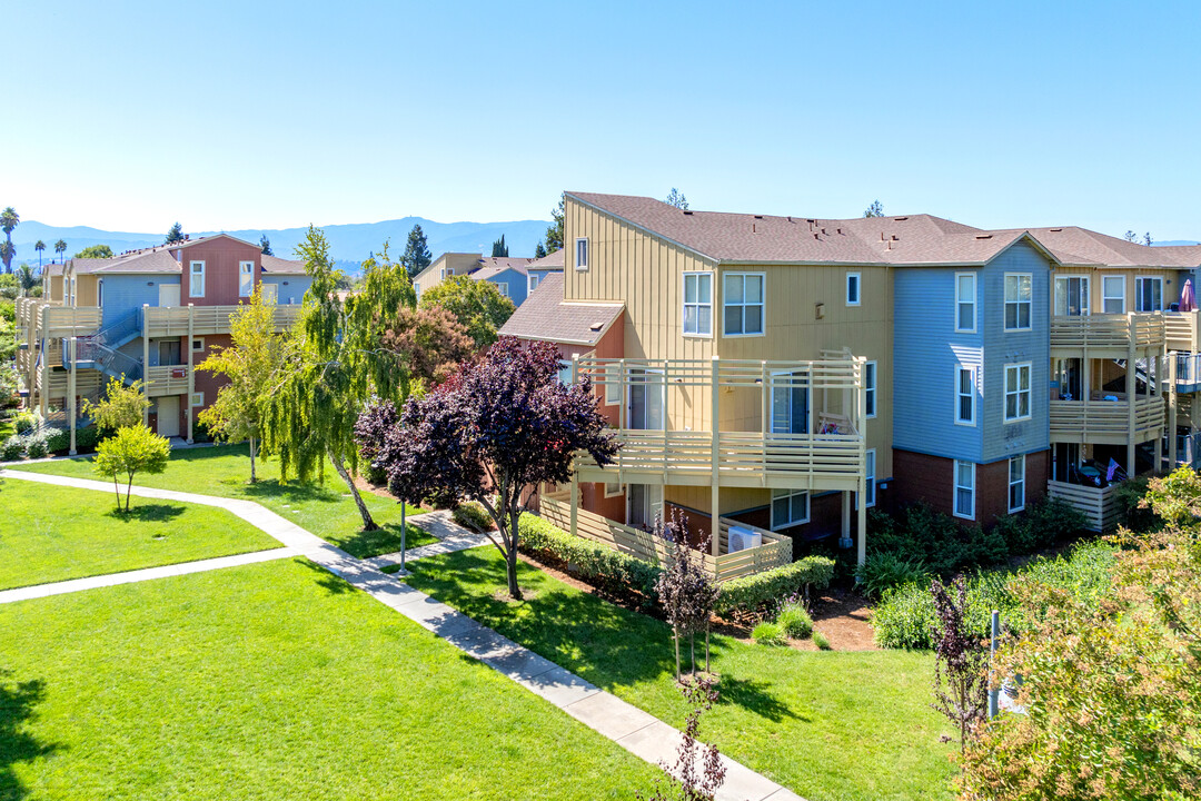 The Woods in San Jose, CA - Foto de edificio