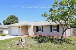 6505 Mushinski Rd in Tampa, FL - Building Photo