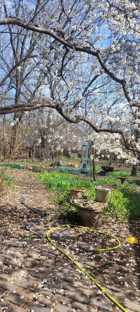 6921 Clarendon Hills Rd in Darien, IL - Building Photo - Building Photo