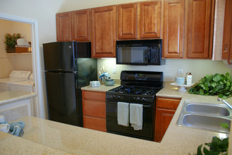 Horizon Ridge Park Apartments in Henderson, NV - Building Photo - Building Photo