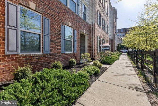 42087 Shadows Pride Terrace in Aldie, VA - Foto de edificio - Building Photo