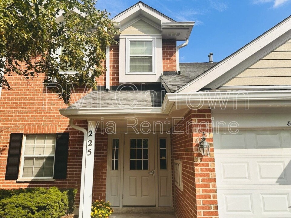 225 Charleston Ct in Schaumburg, IL - Building Photo