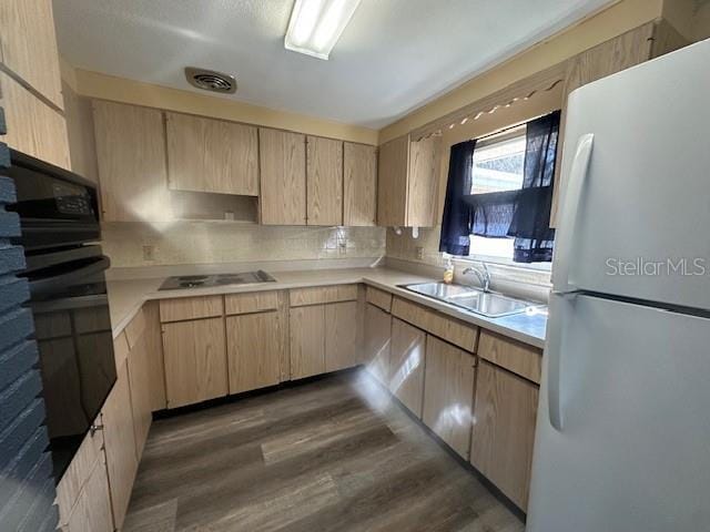 803 Tangerine St in Tavares, FL - Building Photo - Building Photo