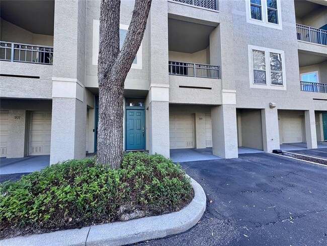 705 Mainsail Dr in Tampa, FL - Building Photo - Building Photo