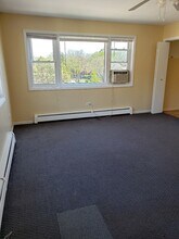 924 Warren Ave, Unit 3 in Downers Grove, IL - Building Photo - Building Photo