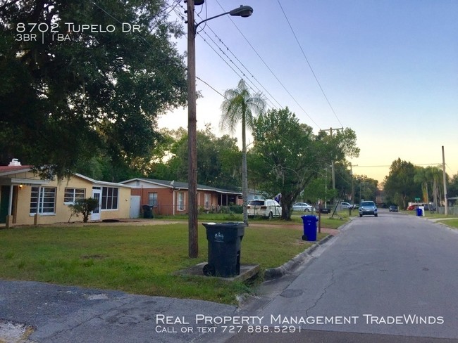 8702 Tupelo Dr in Tampa, FL - Foto de edificio - Building Photo