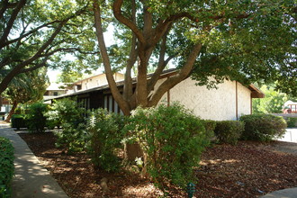 Cedar Grove Apartments in Chico, CA - Foto de edificio - Building Photo