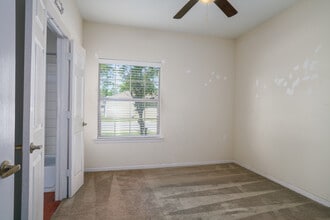 Elm Street Village in Tallulah, LA - Building Photo - Interior Photo