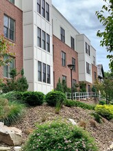 Terradime 5637 Forbes LLC in Pittsburgh, PA - Building Photo - Building Photo