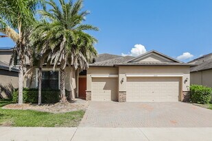 10053 Celtic Ash Dr in Ruskin, FL - Building Photo