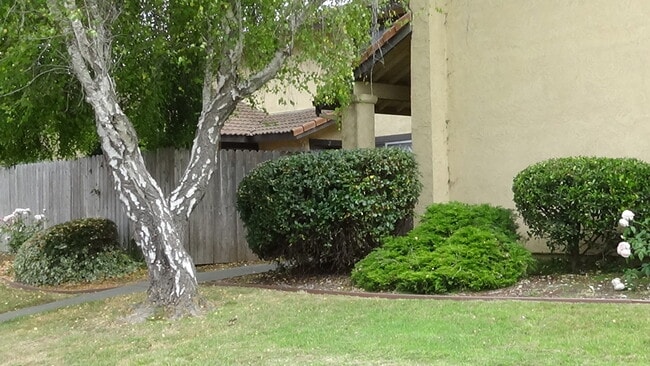 1117 Seabreeze Way