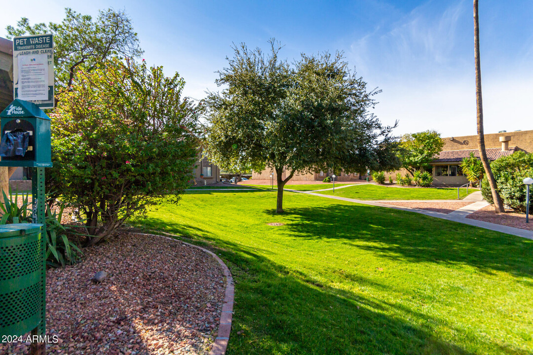 3825 E Camelback Rd in Phoenix, AZ - Building Photo