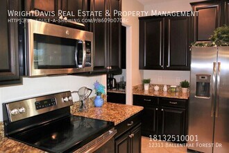 12311 Ballentrae Forest Dr in Riverview, FL - Building Photo - Building Photo