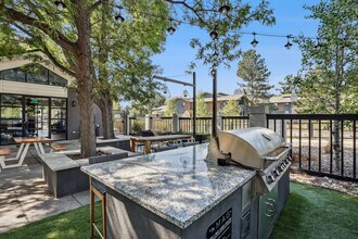 The Magwood in Boulder, CO - Building Photo - Building Photo