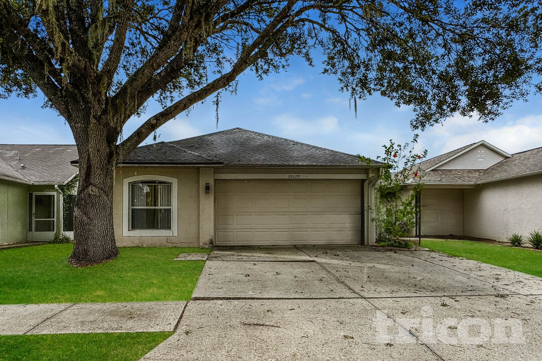 30229 Double Dr in Wesley Chapel, FL - Foto de edificio