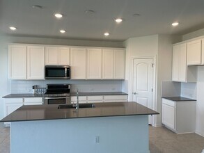 206 Sun Daisy Rd in Georgetown, TX - Building Photo - Building Photo