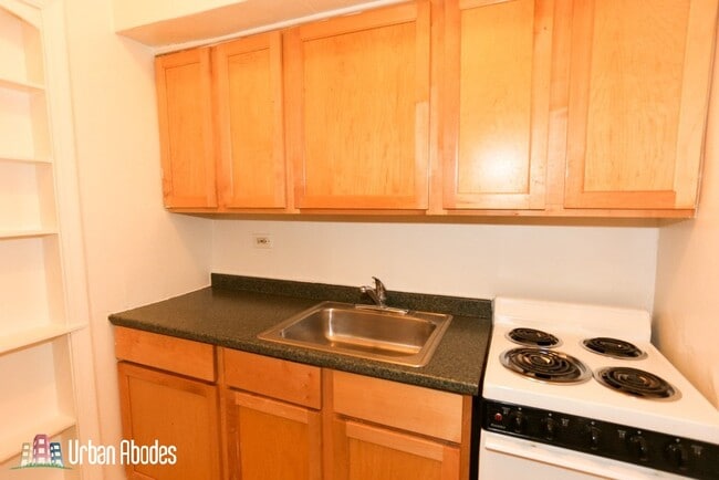 539 W Arlington Pl, Unit J09W in Chicago, IL - Building Photo - Building Photo