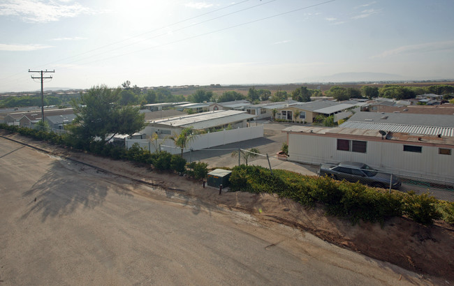 Murrieta Palms in Murrieta, CA - Building Photo - Building Photo