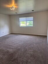 2364 Cherry Tree Ln in Diamond, IL - Building Photo - Building Photo