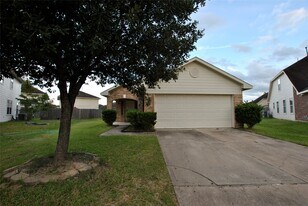 19007 S Whimsey Dr in Cypress, TX - Building Photo