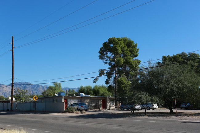 3513 E Willard St in Tucson, AZ - Building Photo - Building Photo