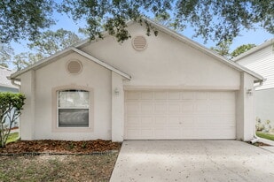 30220 Birdhouse Dr in Wesley Chapel, FL - Building Photo