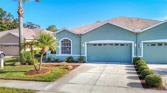 12200 Putter Green Ct in New Port Richey, FL - Building Photo