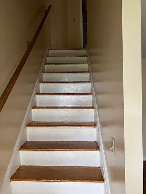 31 Birch Rd in Rocky Hill, CT - Building Photo - Building Photo