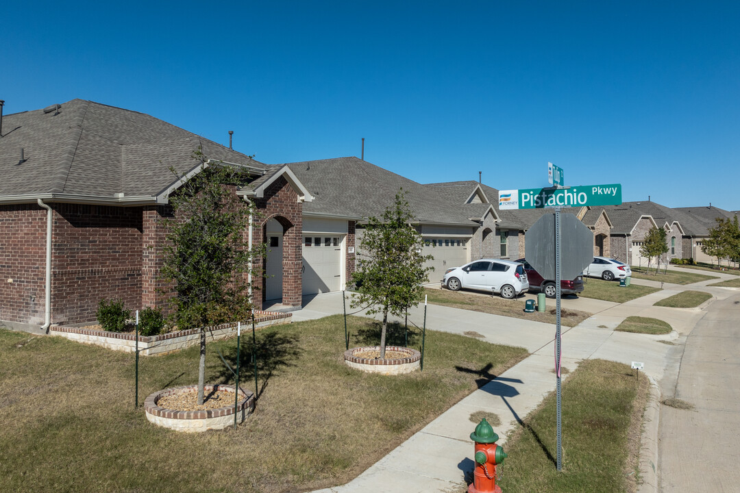 Overland Grove in Forney, TX - Building Photo