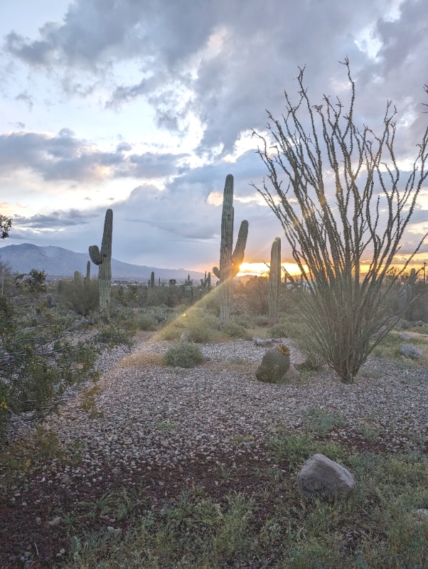 property at 4140 W Camino Pintoresco