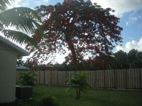 11701 SW 108th Ln in Miami, FL - Foto de edificio - Building Photo