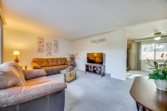 1123 Lehmberg Blvd in Colorado Springs, CO - Building Photo - Building Photo