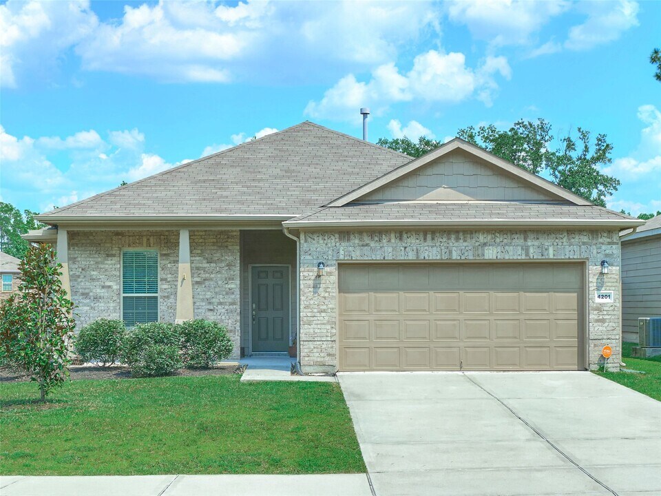 4201 Amber Ruse Dr in Panorama Village, TX - Building Photo
