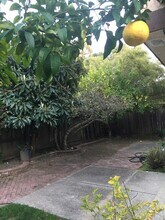 135 Flame Dr in Pleasant Hill, CA - Building Photo - Building Photo