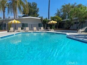 3581 Chicago Ave-Unit -D in Riverside, CA - Building Photo - Building Photo