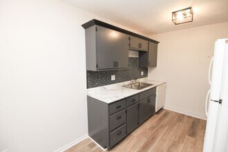 308 S Lewis Ave in Sioux Falls, SD - Building Photo - Building Photo