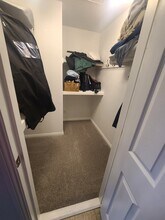 4817 Straight Flush Dr in Las Vegas, NV - Building Photo - Building Photo