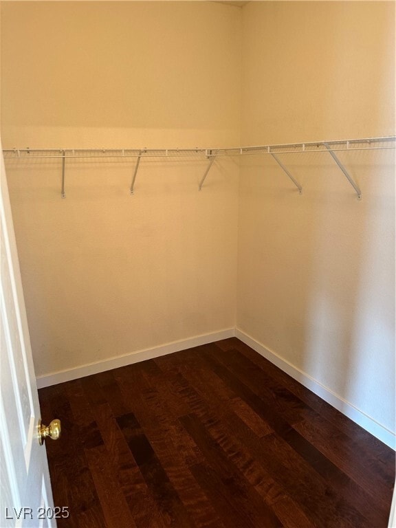 property at 222 Kindness Crest Ct
