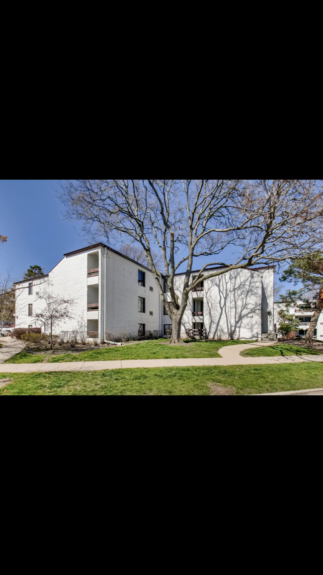 346 Miner W St, Unit 3A in Arlington Heights, IL - Foto de edificio - Building Photo